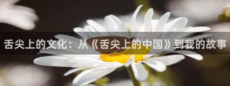 恒盛娱乐下载