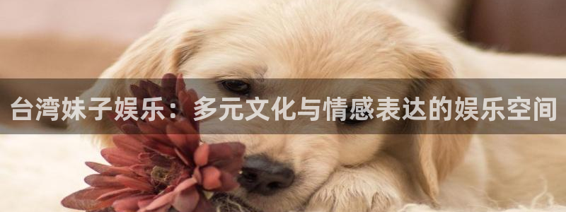 恒盛娱乐