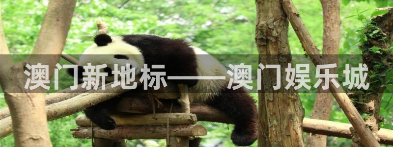 恒盛娱乐下载