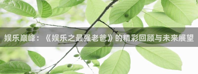 恒盛娱乐登录