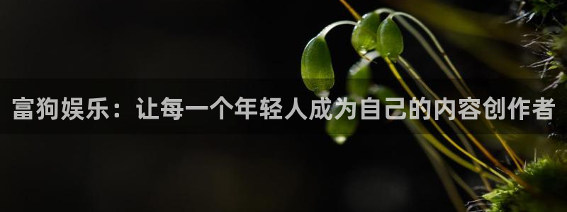 恒盛娱乐官网